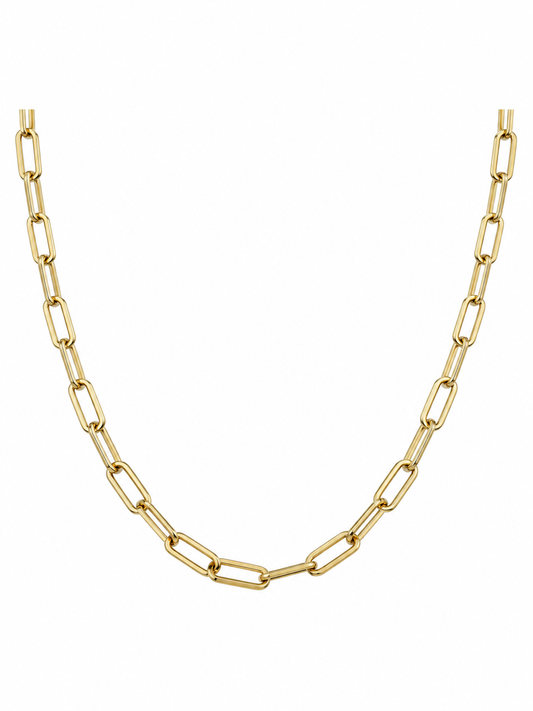 Essential Link Chain